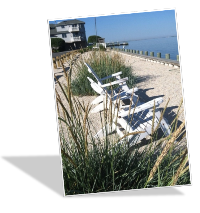 Long Beach Island Real Estate | LBI NJ Real Estate | Brian Delpriora